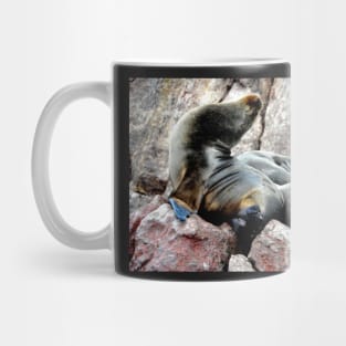 Pérou - Paracas - Les îles Ballestas Mug